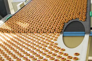 raw food processing