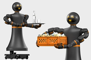 Humanoid robot 