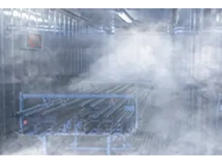 Cold tests